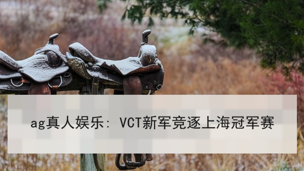 ag真人娱乐: VCT新军竞逐上海冠军赛